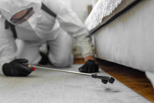 Professional Cockroach Control technician working in Gladstone, MO
